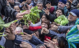 verduras